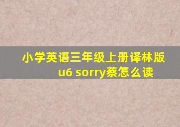 小学英语三年级上册译林版u6 sorry蔡怎么读